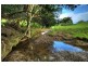 50 BURNSIDE RD, Perwillowen QLD 4560