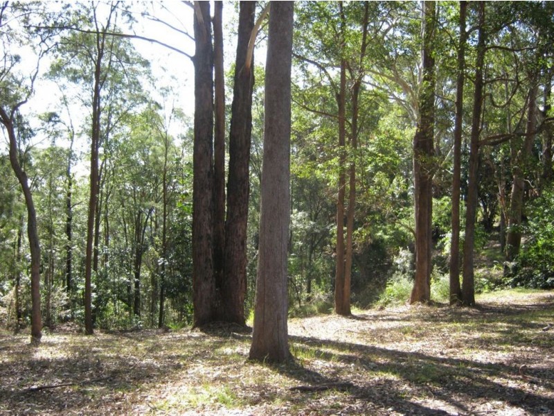 115-121 Upper Rosemount Road, Rosemount QLD 4560