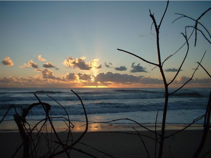 1 Bondi Court, Mount Coolum QLD 4573