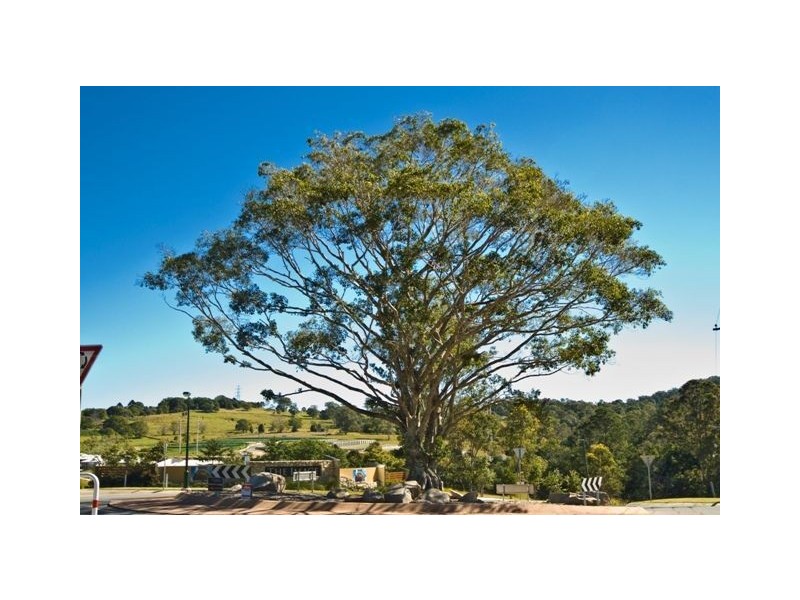 20 PRESENTATION BLVD, Nambour QLD 4560