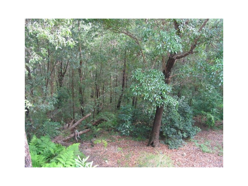 2 Whistler Ridge drive, Yandina Creek QLD 4561