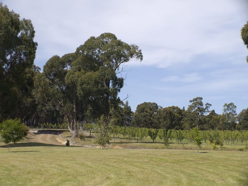 115 Cemetery Road, Dover TAS 7117
