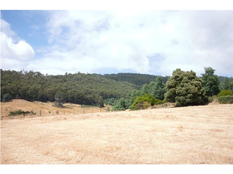 Lot 1 169 Watsons Road, Glen Huon TAS 7109