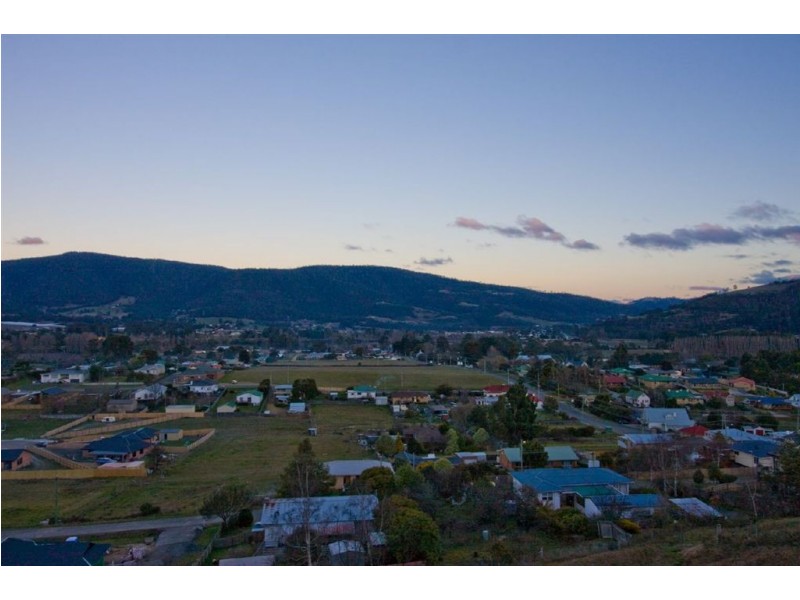 61 Ranelagh Street, Ranelagh TAS 7109