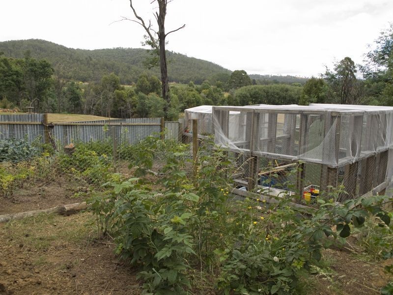 1237 Nicholls Rivulet Road, Nicholls Rivulet TAS 7112