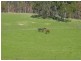 88 Carters Road, Port Huon TAS 7116