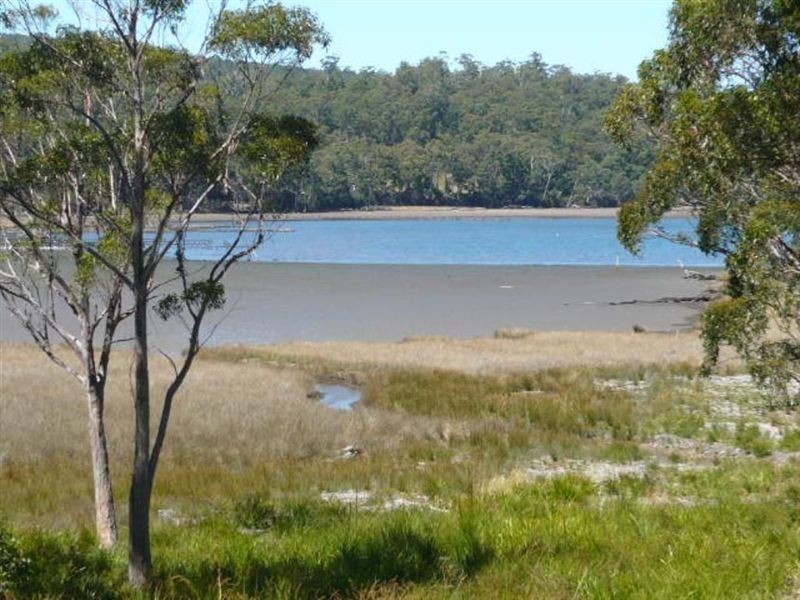 23 Tongue Road, Hastings TAS 7109