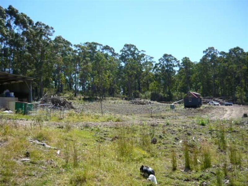 23 Tongue Road, Hastings TAS 7109