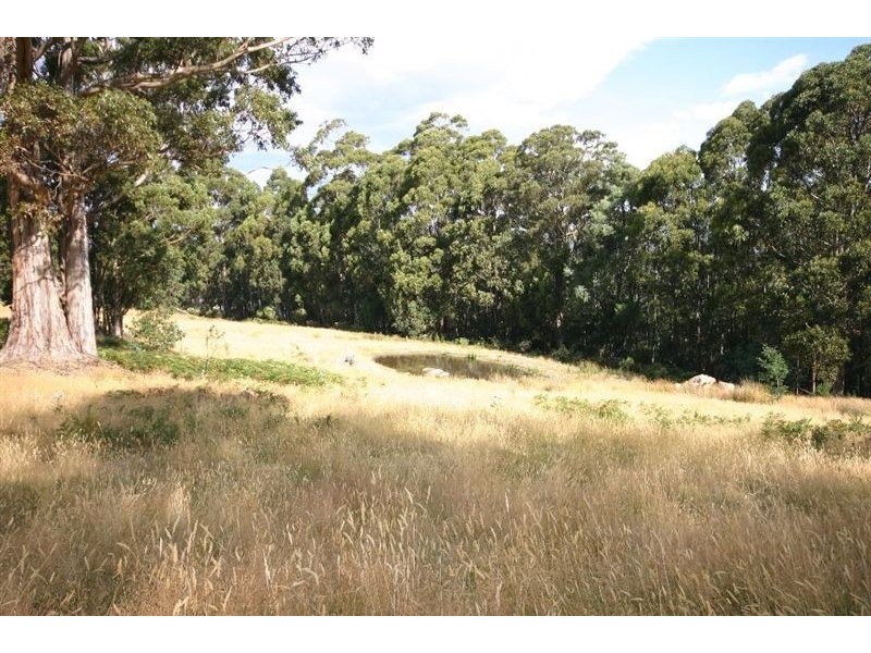 296 Cloverside Road, Lucaston TAS 7109