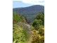 91 Deans Road, Glen Huon TAS 7109