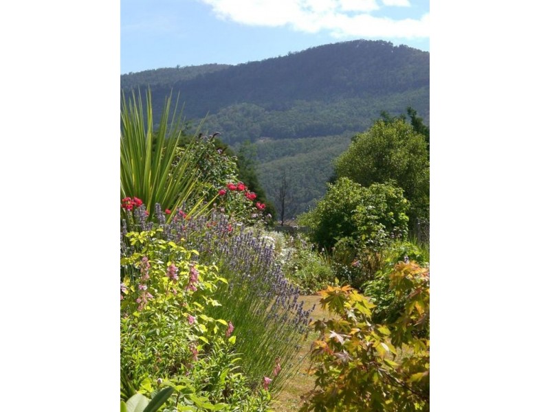 91 Deans Road, Glen Huon TAS 7109