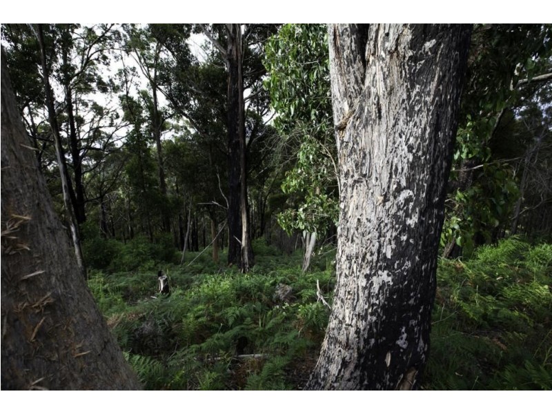 261 Sunday Hill Road, Petcheys Bay TAS 7109