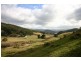 Lot 4 Wattle Grove Road, Wattle Grove TAS 7109