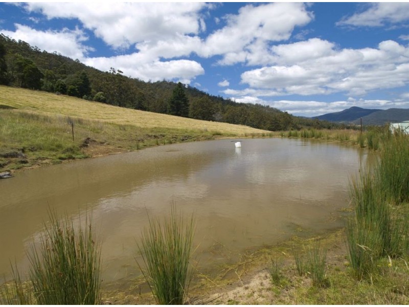 10 Lovell Road, Crabtree TAS 7109