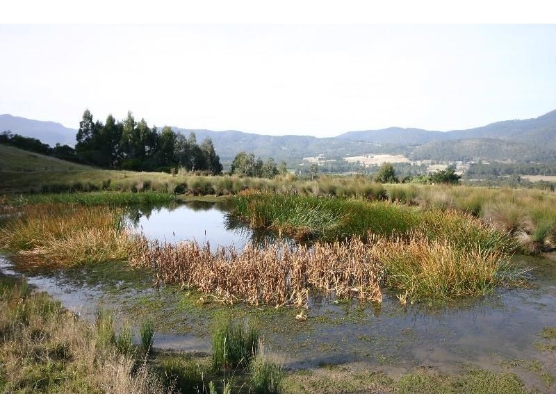 140 Cross Road, Lucaston TAS 7109