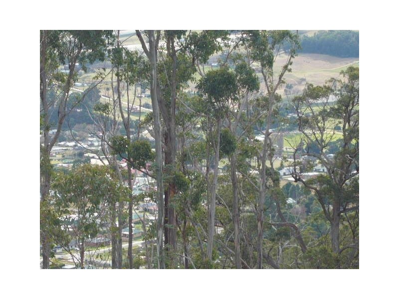 Lot 1 Kings Hill Road, Cygnet TAS 7112