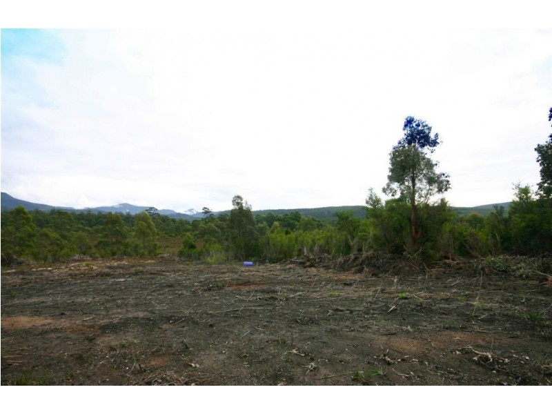 7736 Old Hastings Road, Strathblane TAS 7109