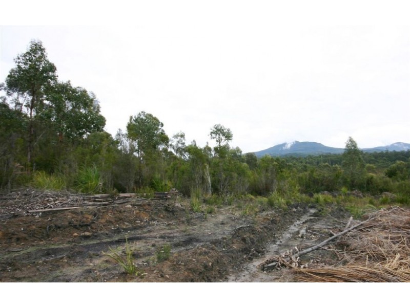 7736 Old Hastings Road, Strathblane TAS 7109