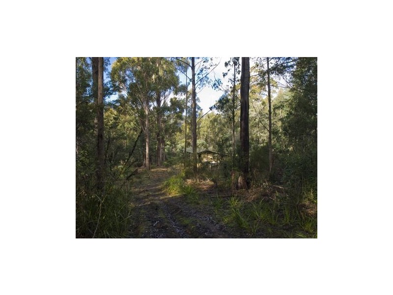 * Nicholls Rivulet Road, Nicholls Rivulet TAS 7112