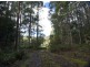 * Nicholls Rivulet Road, Nicholls Rivulet TAS 7112