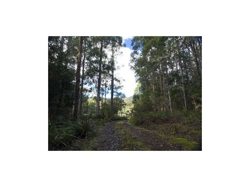 * Nicholls Rivulet Road, Nicholls Rivulet TAS 7112