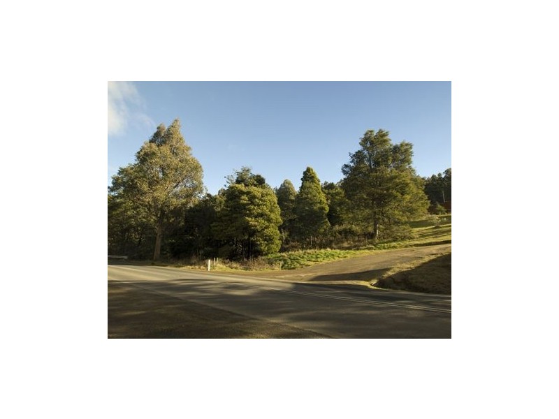 * Nicholls Rivulet Road, Nicholls Rivulet TAS 7112