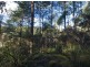* Nicholls Rivulet Road, Nicholls Rivulet TAS 7112