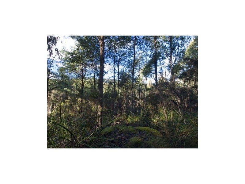 * Nicholls Rivulet Road, Nicholls Rivulet TAS 7112