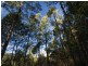* Nicholls Rivulet Road, Nicholls Rivulet TAS 7112