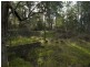 * Nicholls Rivulet Road, Nicholls Rivulet TAS 7112