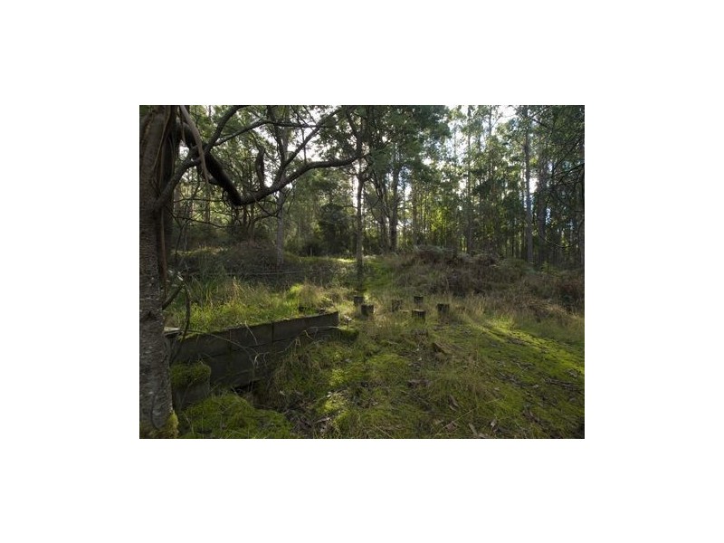 * Nicholls Rivulet Road, Nicholls Rivulet TAS 7112
