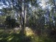 * Nicholls Rivulet Road, Nicholls Rivulet TAS 7112
