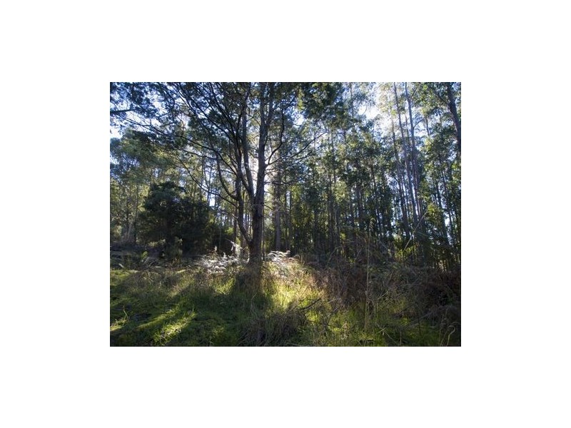 * Nicholls Rivulet Road, Nicholls Rivulet TAS 7112