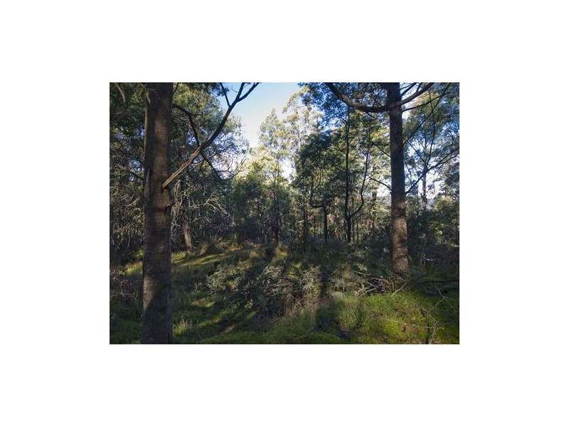 * Nicholls Rivulet Road, Nicholls Rivulet TAS 7112