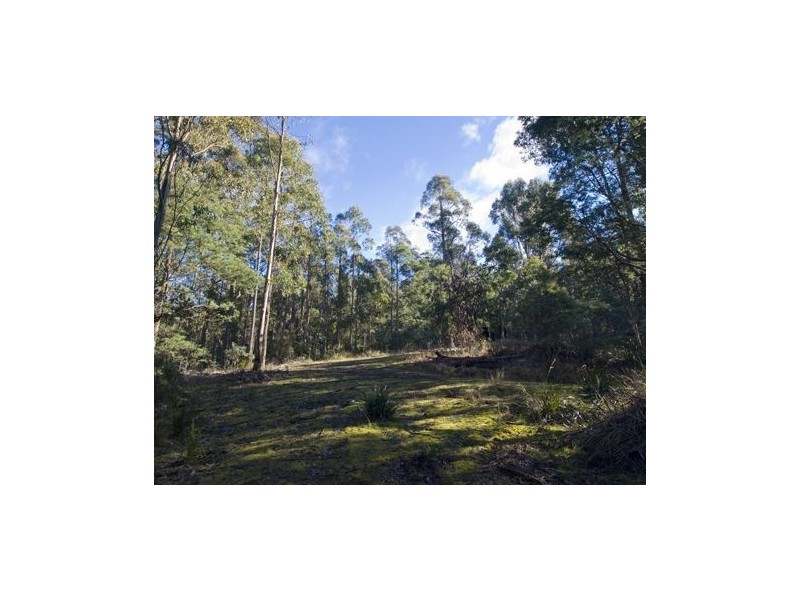 * Nicholls Rivulet Road, Nicholls Rivulet TAS 7112