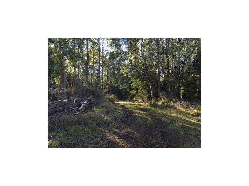 * Nicholls Rivulet Road, Nicholls Rivulet TAS 7112