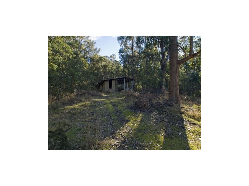 * Nicholls Rivulet Road, Nicholls Rivulet TAS 7112