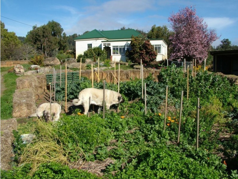 132 Deans Road, Glen Huon TAS 7109