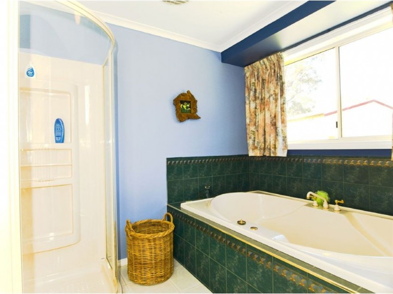 * Mountain River, Mountain River TAS 7109