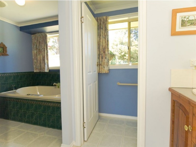 * Mountain River, Mountain River TAS 7109