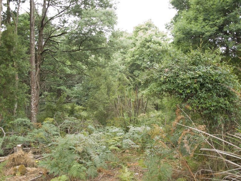 1237 Nicholls Rivulet Road, Nicholls Rivulet TAS 7112