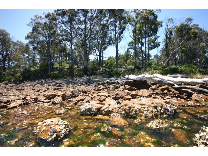 3/270 Cygnet Coast Road, Lymington TAS 7109