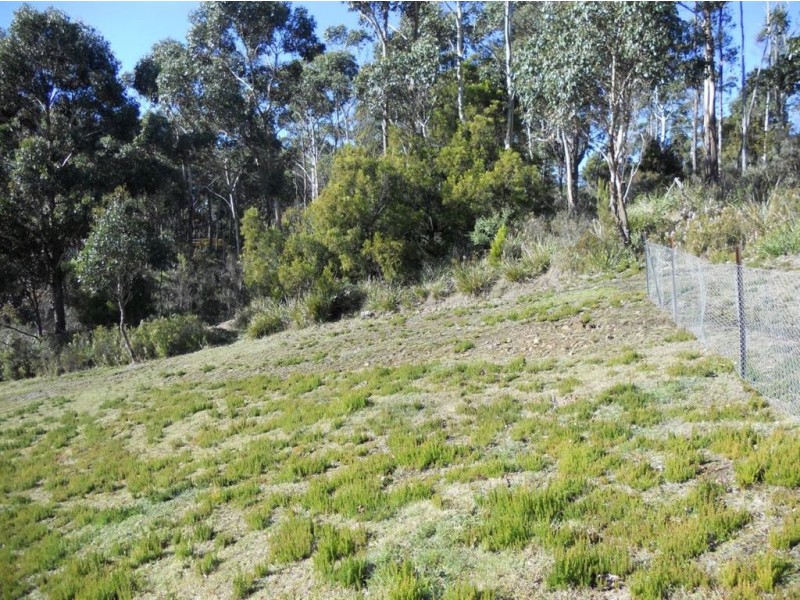 40 Hill Street, Geeveston TAS 7116