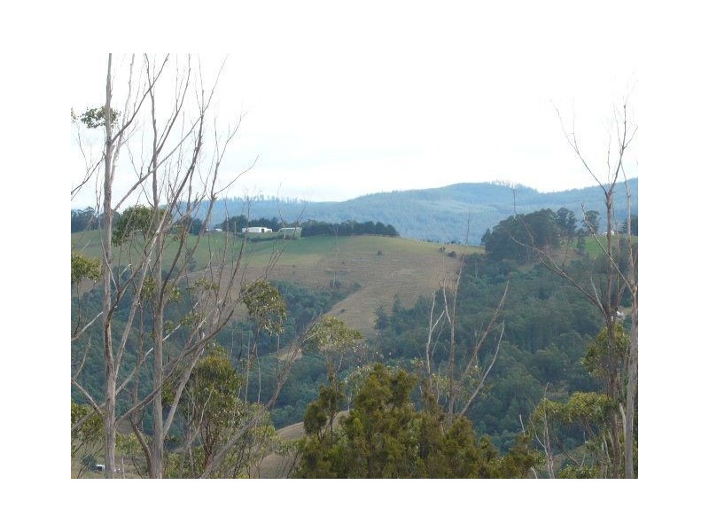 Lot 2 Kings Hill Road, Cygnet TAS 7112