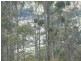Lot 2 Kings Hill Road, Cygnet TAS 7112