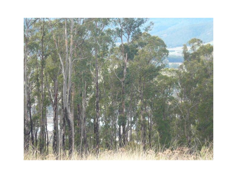Lot 2 Kings Hill Road, Cygnet TAS 7112
