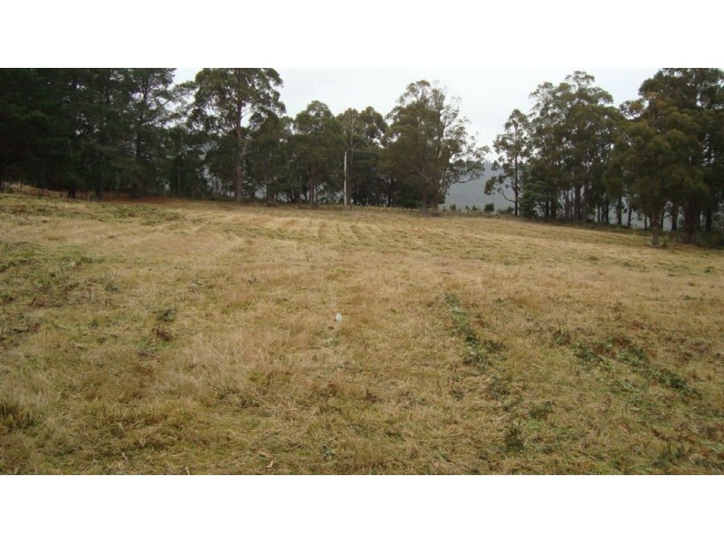 * Fyfes Road, Mountain River TAS 7109