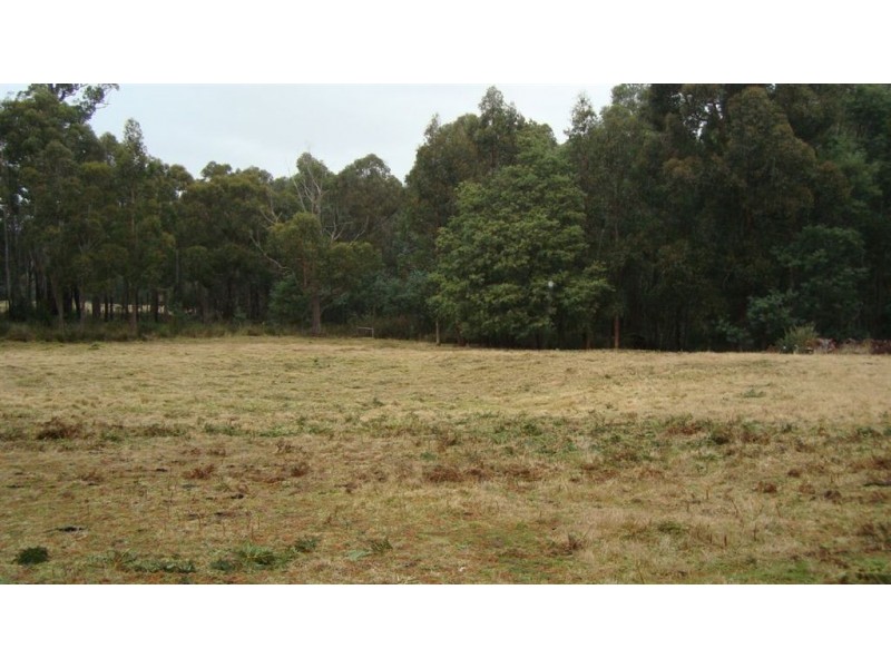 * Fyfes Road, Mountain River TAS 7109