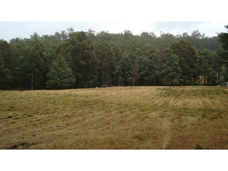 * Fyfes Road, Mountain River TAS 7109