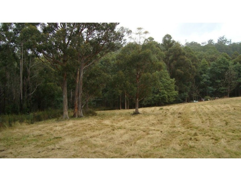 * Fyfes Road, Mountain River TAS 7109
